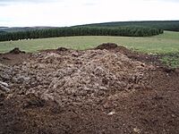 Archivo:Manure! - geograph.org.uk - 220743