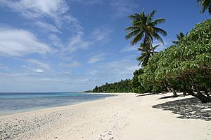 Archivo:Marshall islands enoko island beach