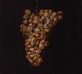 Miguel de pret-racimo de uvas-cerralbo