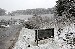Archivo:Neve na SC-438 em São Joaquim