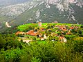 Obeso-