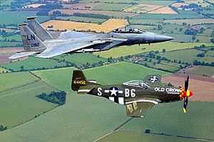 Archivo:P-51 F-15