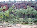 Palm Valley NT