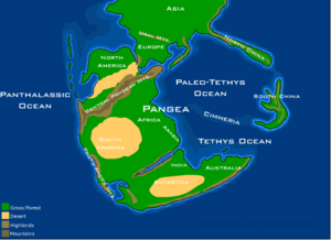 Archivo:Pangaea (230 million years ago)