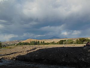 Archivo:Río Curi Leuvú