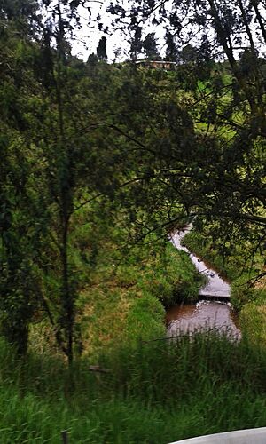 Archivo:Río Guadalupe cerca a su nacimiento en Santa Rosa de Osos