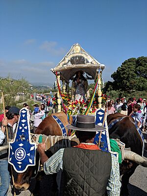 Archivo:Romeria pruna