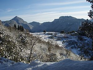 Archivo:Talaixà nevat