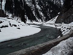 The jhelum river