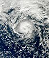 Tropical Storm Grace 2009 at peak intensity
