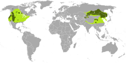 Rango de distribución nativo (verde claro) y actual (verde oscuro) del Cervus canadensis
