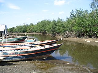 Zarumilla River Peru-Ecuador border.jpg
