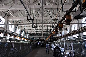 Archivo:富岡製糸場・繰糸場