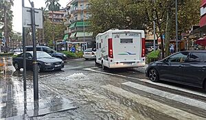 Archivo:20240906 Carrer de BacelonaVia Roma Salou 02