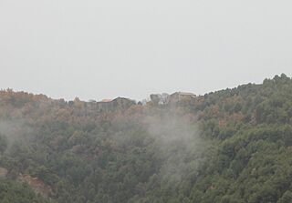 21.Caneto.JPG
