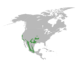 AimophilaRuficepsMap