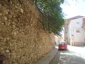 Archivo:Antigua muralla del Morell (Tarragona)