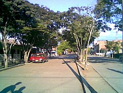 Avenida Candelaria.jpg