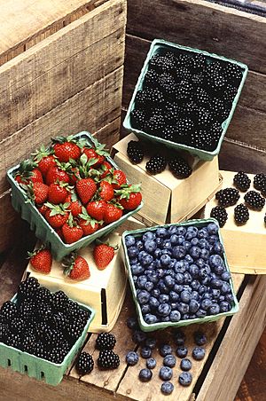 Archivo:Berries (USDA ARS)
