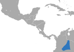 Distribución del mico de noche llanero