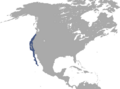 Brush Rabbit range