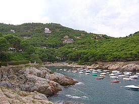 Cala d'Aiguafreda - Begur - Catalunya.JPG