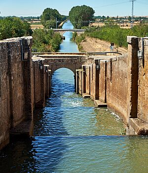 Archivo:Canal de Castilla (36841967131)