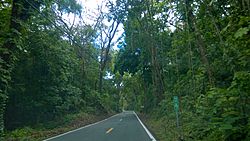 Carretera PR-146, Ciales, Puerto Rico (1).jpg