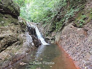 Archivo:Cascada del tio