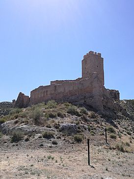 Castillo de Cadrete (vista desde el NO).jpg
