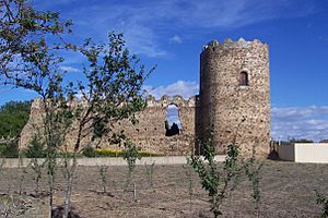 Archivo:Castillo de los Bazan (Palacios de la Valduerna, Leòn)
