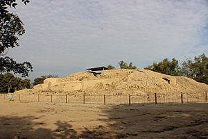 Archivo:Centro Arqueológico Punkuri - Vista lateral derecha