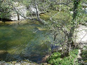 Archivo:Charco de las Latas, Rio Francia, Las Casas del Conde