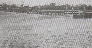 Archivo:Construcción del puente de Pailón.