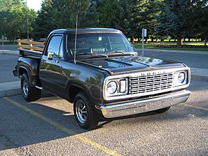 Archivo:Dodge Custom 100 (2617809604)