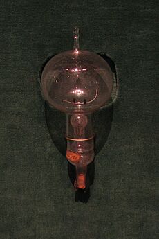 Archivo:Edison Carbon Bulb