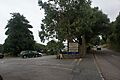 Entrance to Ventnor Botanic Gardens