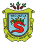 Escudo yecuatla.png