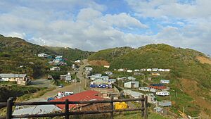Archivo:Estaquilla Sept19