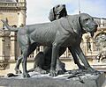 Fanfareau et Brillador - deux chien de Chantilly