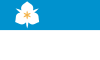 Flag of Salt Lake City (2020).svg