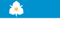 Flag of Salt Lake City (2020)