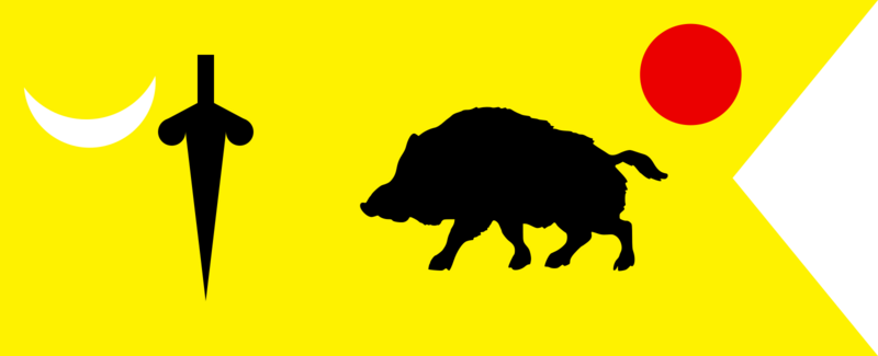 Flag of Vijaynagara