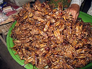 Archivo:Fried crickets in Cambodia