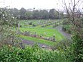 Glasgow Necropolis