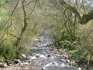 Archivo:Glenwaterdarvel