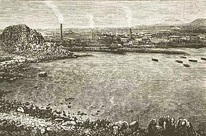 Archivo:Guayacán año 1872