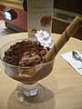 Haagenchocdec