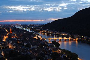 Archivo:Heidelberg night
