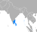 Idioma tamil